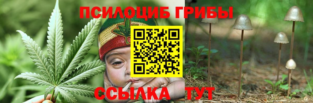 Галлюциногенные грибы MAGIC MUSHROOMS Солнечногорск